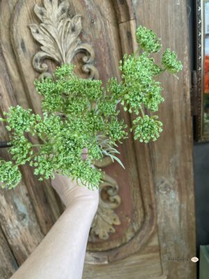 Koper zielony - roślina sztuczna