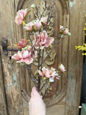 Magnolia brudny róż gałązka