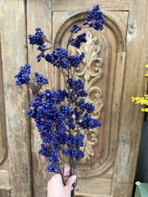 Gałązka z granatowymi kuleczkami