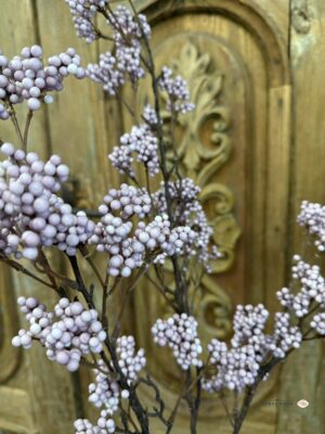 Gałązka z fioletowymi kuleczkami