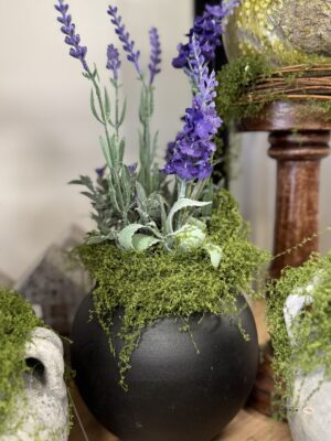 Lawenda w doniczce fioletowa