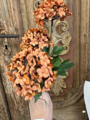 Gałązka hortensja pomarańczowa