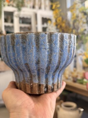 Osłonka prążki  Fiore Blue na nodze