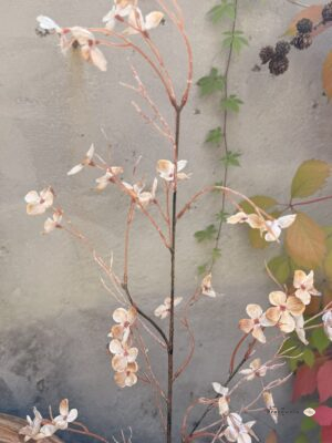Kwiat Prunus avium S, kremowy