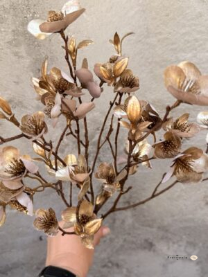 Pęczek ciemiernika Helleborus S, złoty